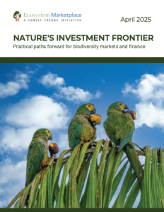 Publication Thumbnail