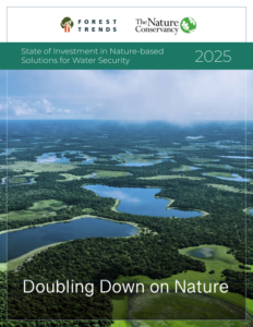 Publication Thumbnail