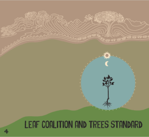 Publication Thumbnail